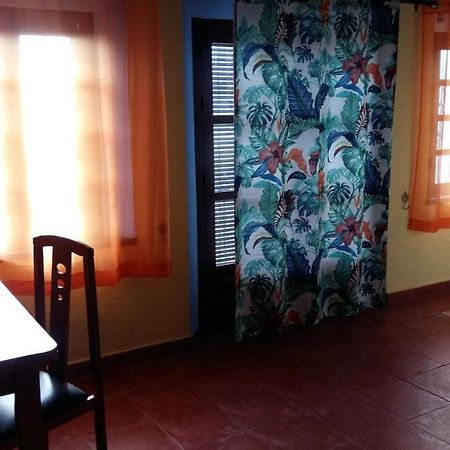 Sunshine Apartment At Tropical Coast Of Granada Almuñécar Dış mekan fotoğraf